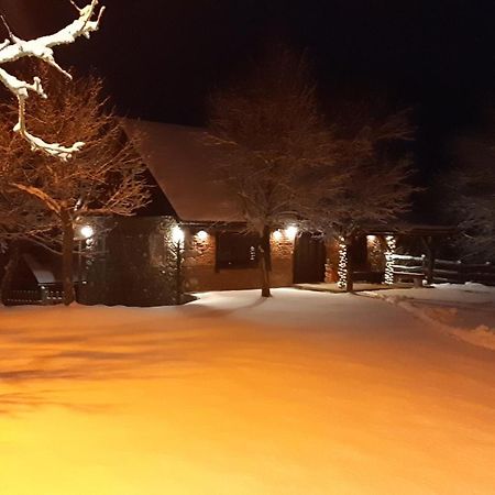 Holiday Home "Sleme" With Jacuzzi, Big Garden And Arbor With Fireplace Skrad Exteriör bild
