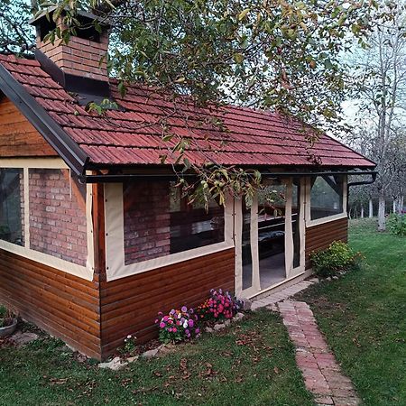 Holiday Home "Sleme" With Jacuzzi, Big Garden And Arbor With Fireplace Skrad Exteriör bild