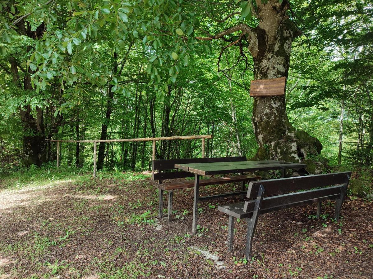 Holiday Home "Sleme" With Jacuzzi, Big Garden And Arbor With Fireplace Skrad Exteriör bild
