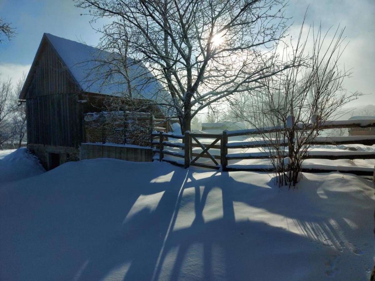 Holiday Home "Sleme" With Jacuzzi, Big Garden And Arbor With Fireplace Skrad Exteriör bild